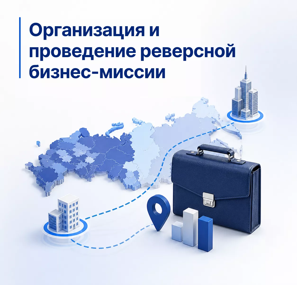 Организация и проведение реверсной бизнес-миссии
