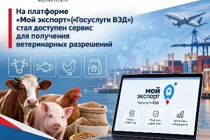 На платформе «Мой экспорт» («Госуслуги ВЭД») стал доступен сервис для получения ветеринарных разрешений на ввоз товаров